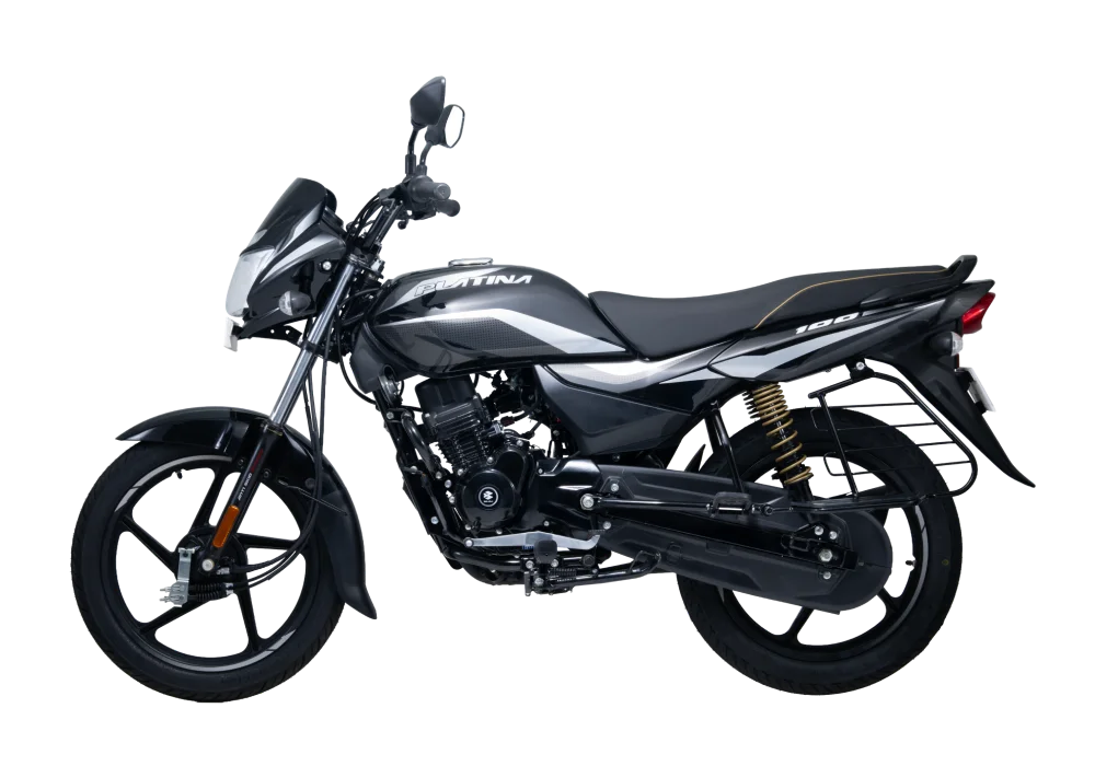 Bajaj Platina 100cc E.S